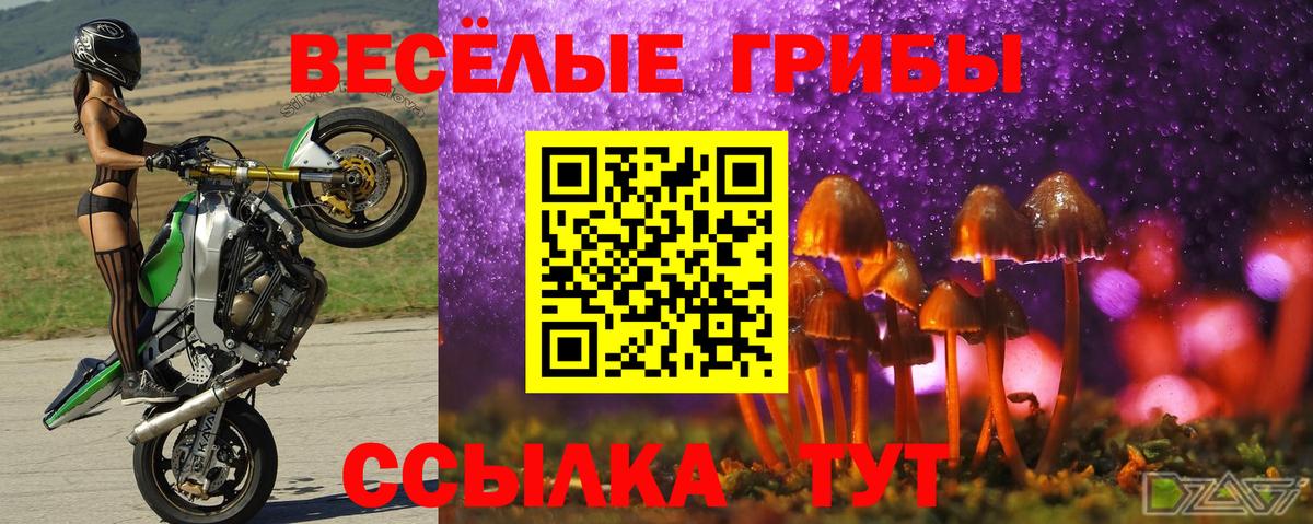 Псилоцибиновые грибы мицелий  Галлюциногенные грибы мицелий  Кириши  Вход с VPN 