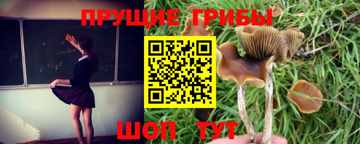 Псилоцибиновые грибы Magic Shrooms Кириши